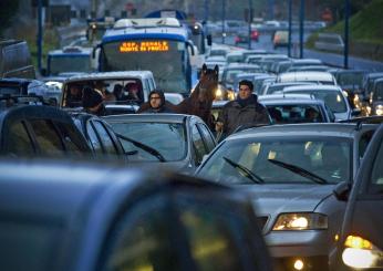 Napoli paura tra gli automobilisti, un cavallo va contromano in tan…