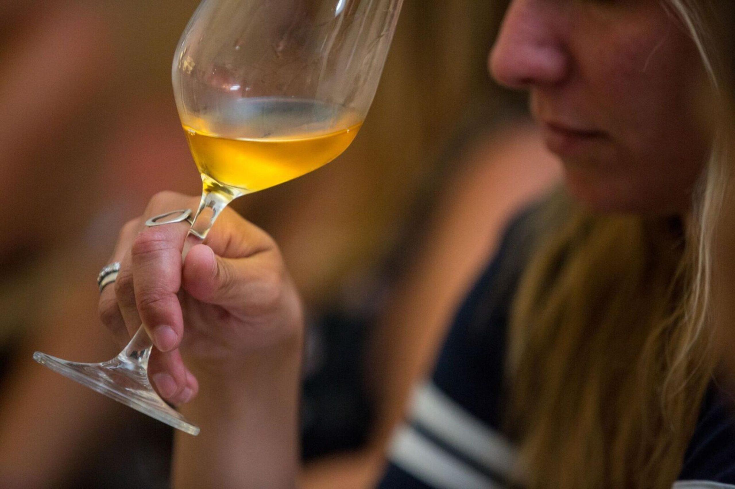 Etichettatura del vino e l’aspra battaglia tra Italia e Irlanda, si apre una strada di dialogo