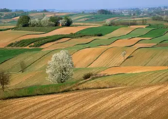 Clima: Coldiretti, 6 milioni di danni da peggiore siccità da 500 anni