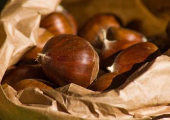 Un autunno riscaldato dalla minestra di castagne