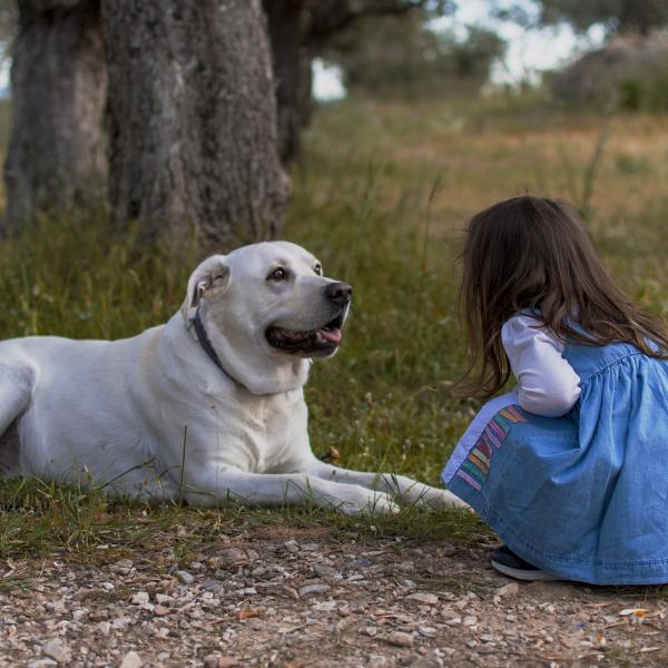 Roma, bimba di 2 anni aggredita da un cane: è in prognosi riservata