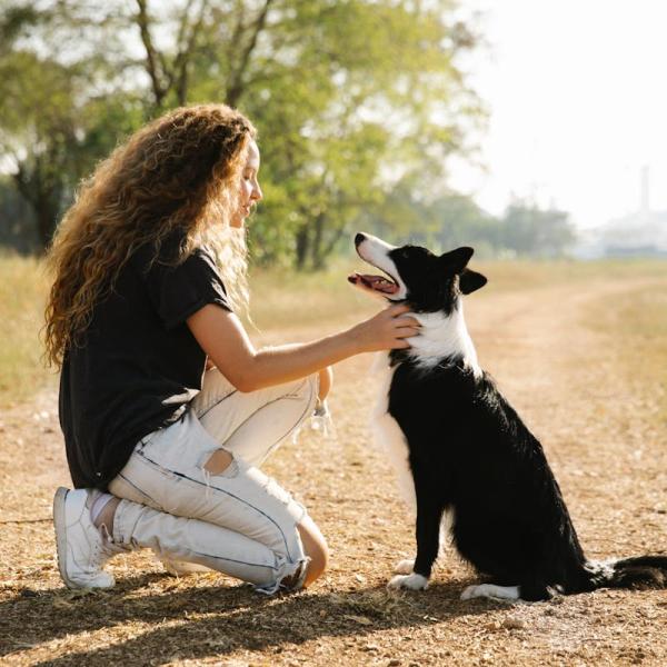 Si possono tenere i cani senza guinzaglio negli spazi comuni condominiali?