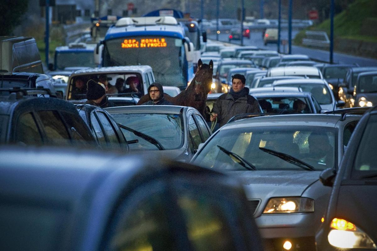 Napoli paura tra gli automobilisti, un cavallo va contromano in tan…