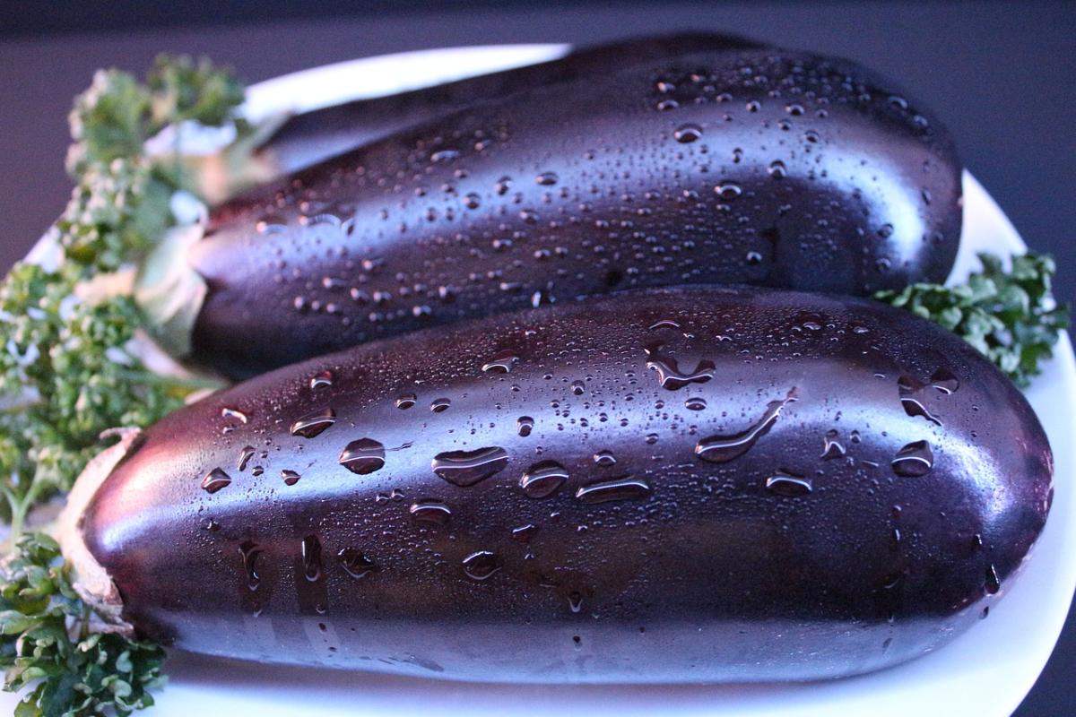 Pasta con le melanzane: in bianco o con la mozzarella?