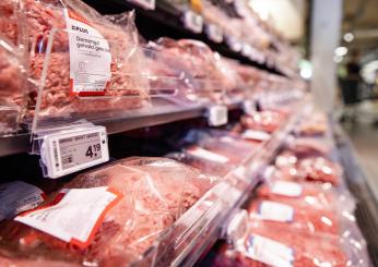 Olanda, ad Haarlem vietata la pubblicità sulla carne: obiettivo ridurre l’impatto umano sulla crisi climatica