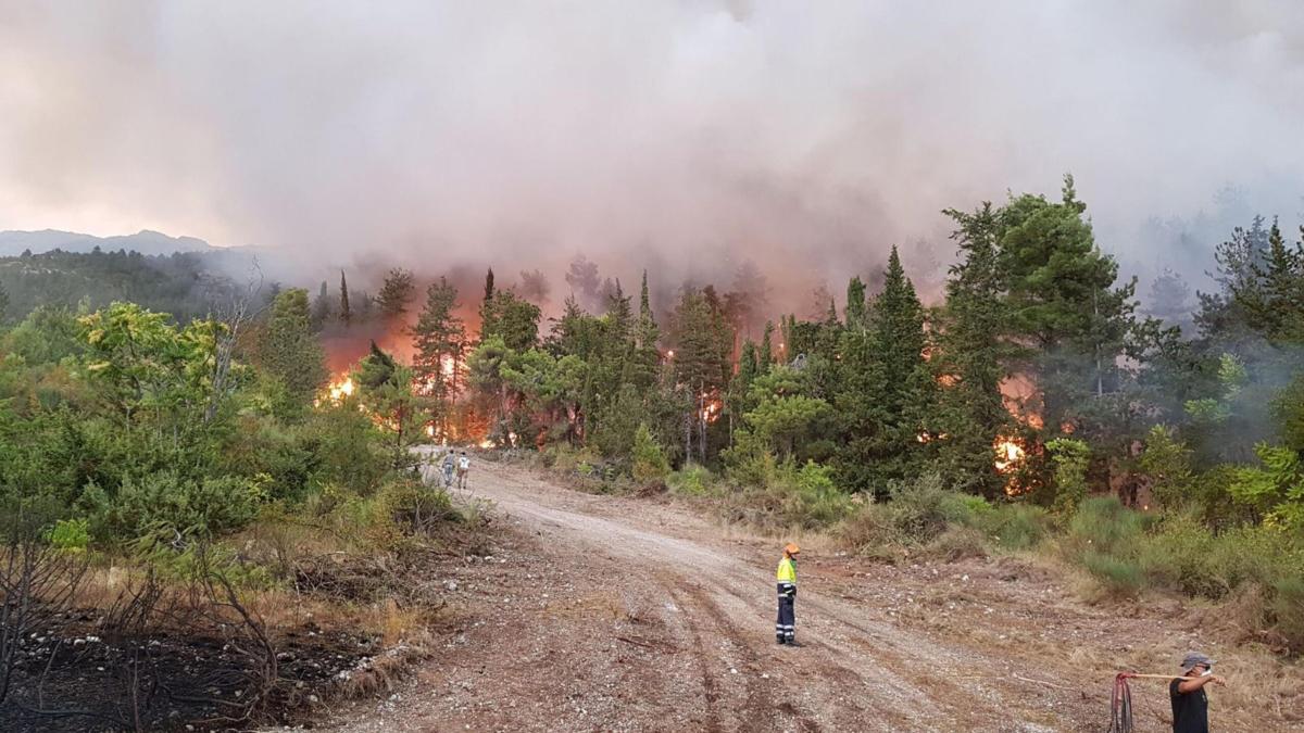 L’Aquila, scoppiano incendi sul Colle Sapone: abitazioni lambite da…