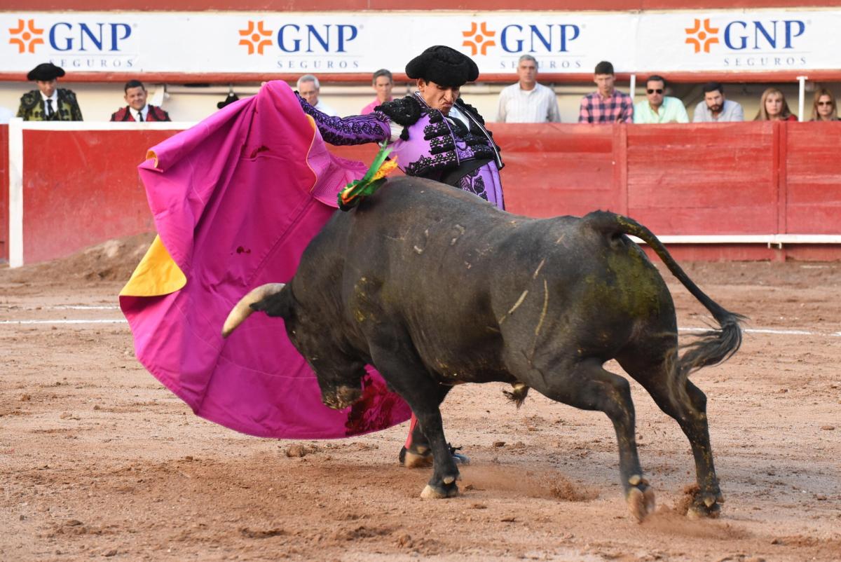 Colombia, il Parlamento vieta la corrida dal 2027: esultano gli ambientalisti