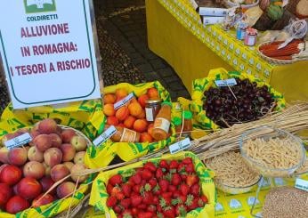 Alluvione Emilia Romagna, Coldiretti: “Agricoltura devastata”