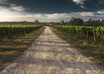 Esenzione Imu terreni agricoli 2023: chi non deve pagare