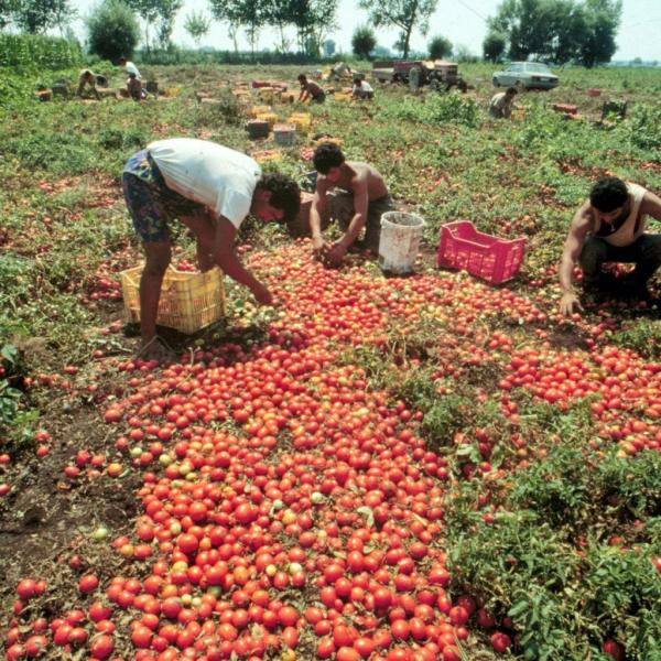 Lavoro, l’allarme della Cisl: “A rischio un milione di posti”