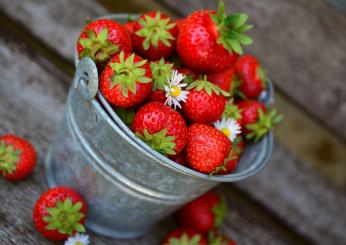 Fresca golosità: lo zuccotto alle fragole