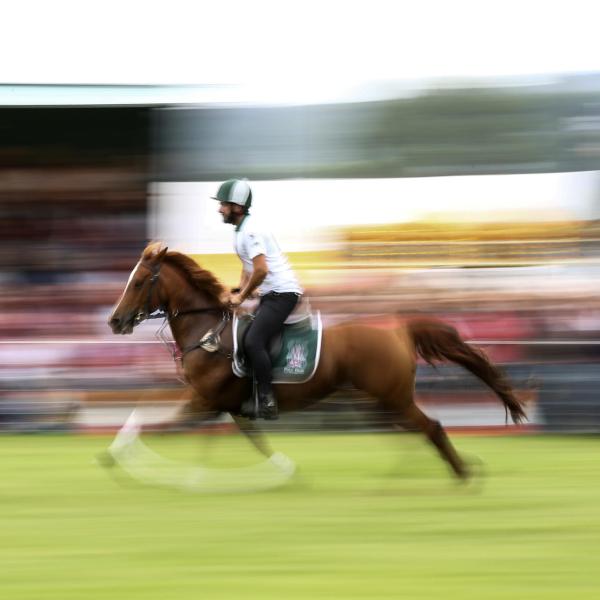 Roma protagonista dell’equitazione con il Longines global Championship tour 2023, dal 15 al 17 settembre