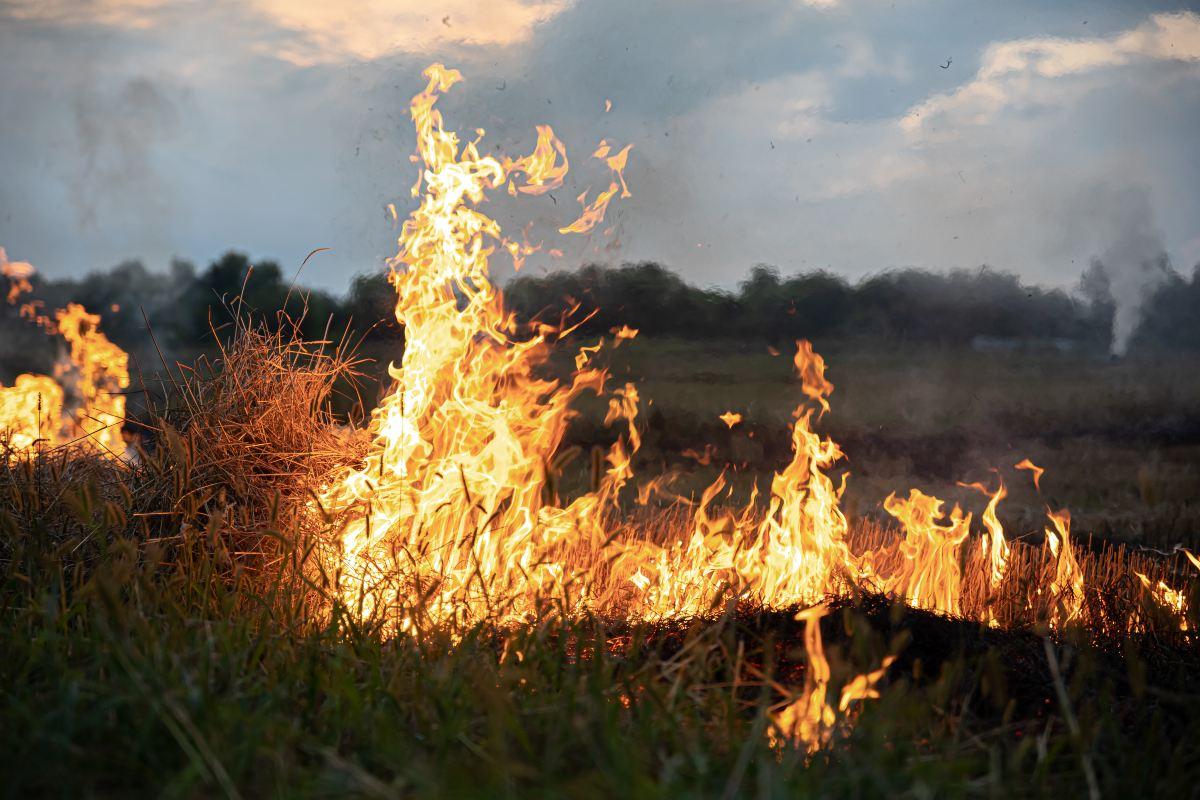 La piromania è una malattia mentale? Ecco le origini di questa ossessione per il fuoco