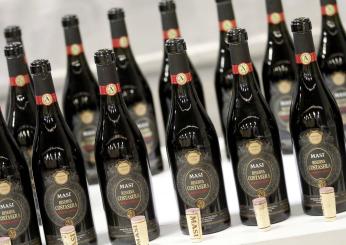 Furto Amarone a Verona, rubate 9000 bottiglie