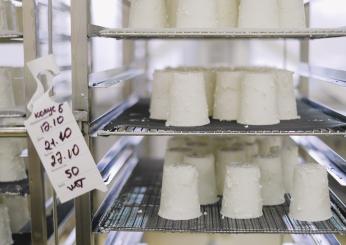 Golosi, ecco per voi la ricetta della ricotta al limone