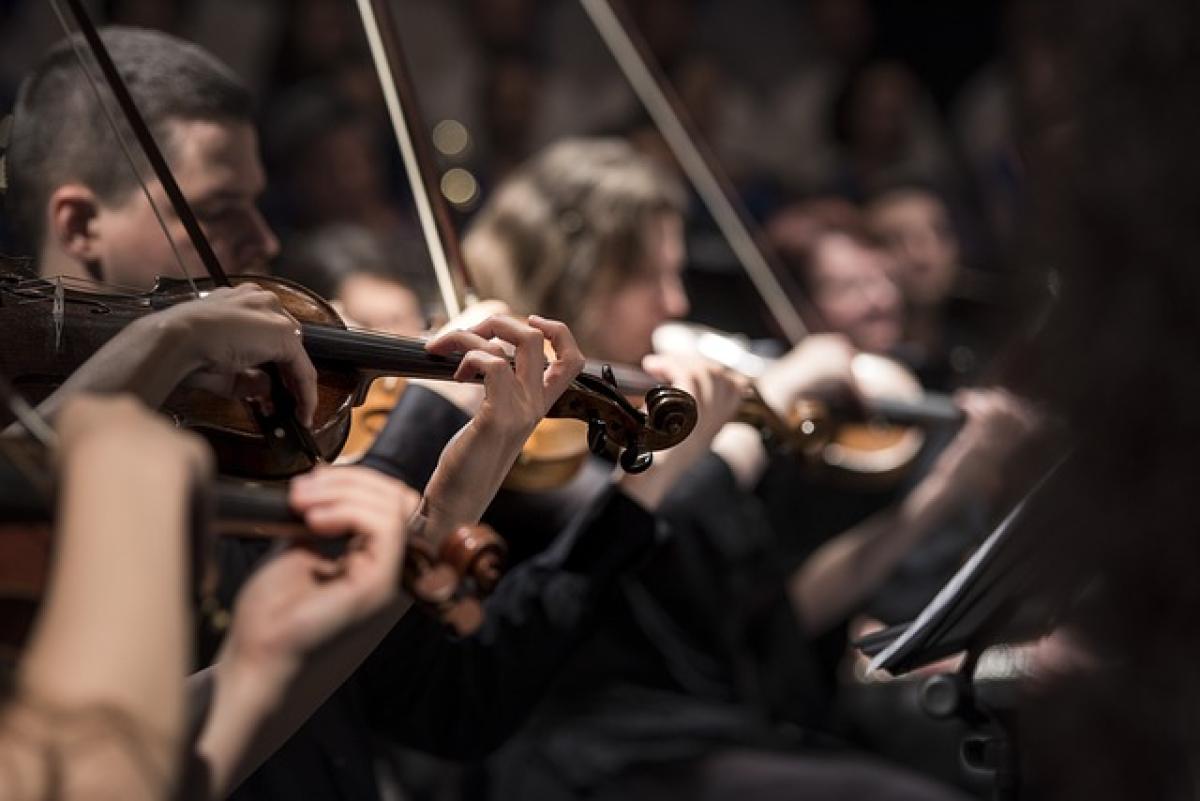 Giornata mondiale del violino 13 dicembre: le curiosità sulla ricor…