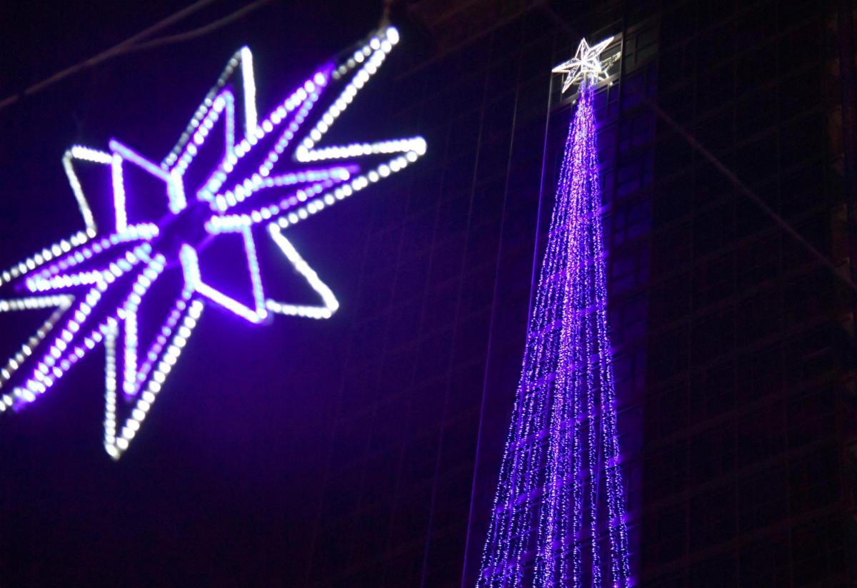 Come si fa a tenere la stella di Natale tutto l’anno?