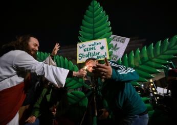 Germania, la cannabis per usi ricreativi è diventata legale: cosa prevede la legge