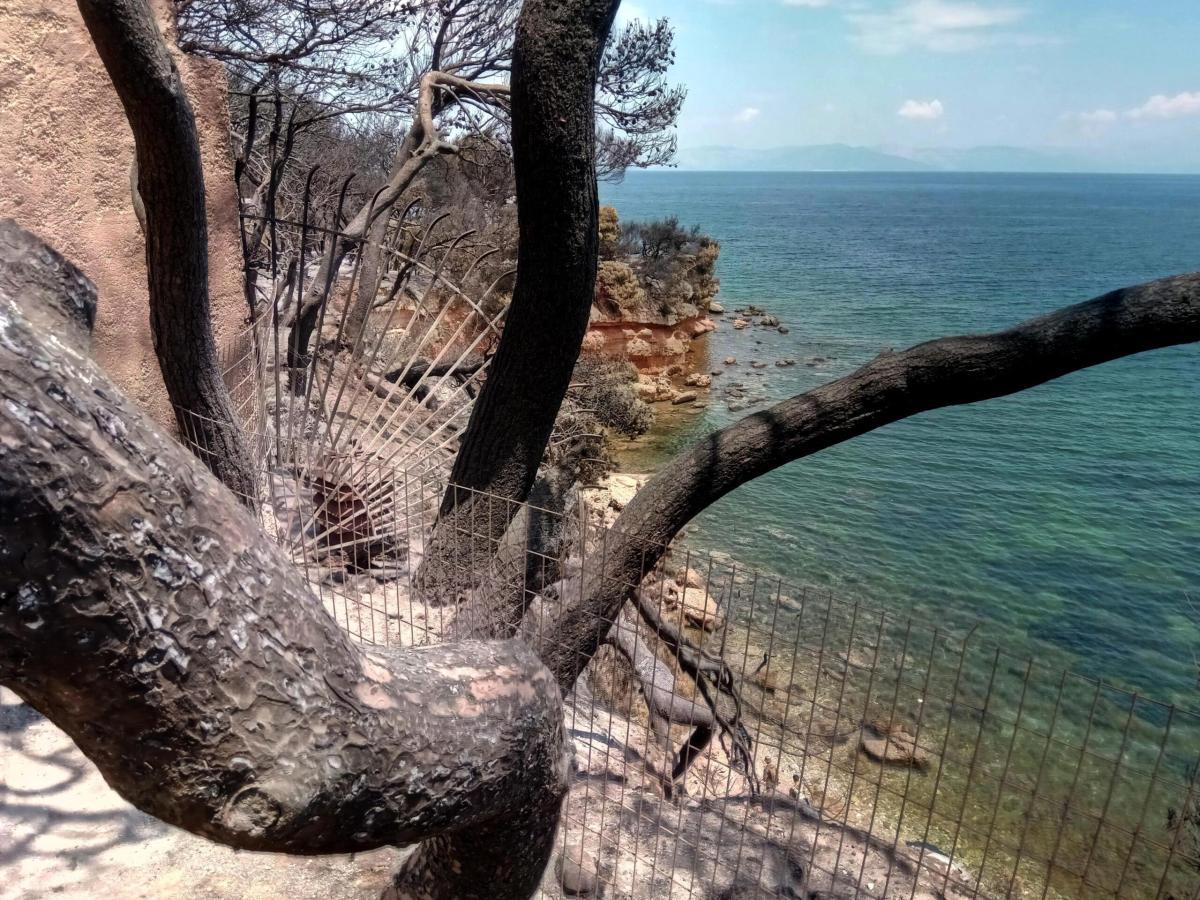 Grecia, ondata di caldo anomalo da domani: le autorità temono incendi, previsti 38° ad Atene giovedì | FOTO