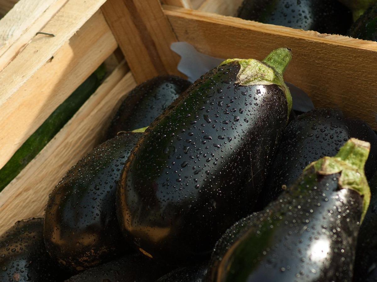 Ricette con le melanzane facili e veloci