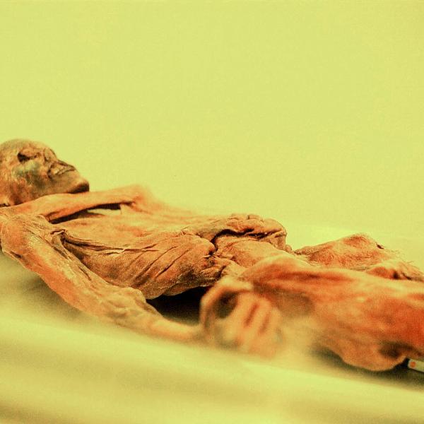 Accadde oggi, 19 settembre 1991: la scoperta Ötzi