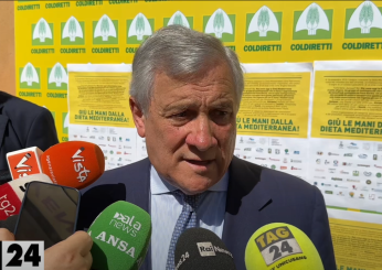 Ucraina, Tajani: ”Positivo per l’Italia che il vertice NATO abbia scelto un inviato speciale per il fronte sud”| VIDEO