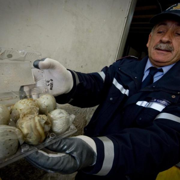 Intossicazione alimentare, come riconoscerla e curarla: sintomi e rimedi