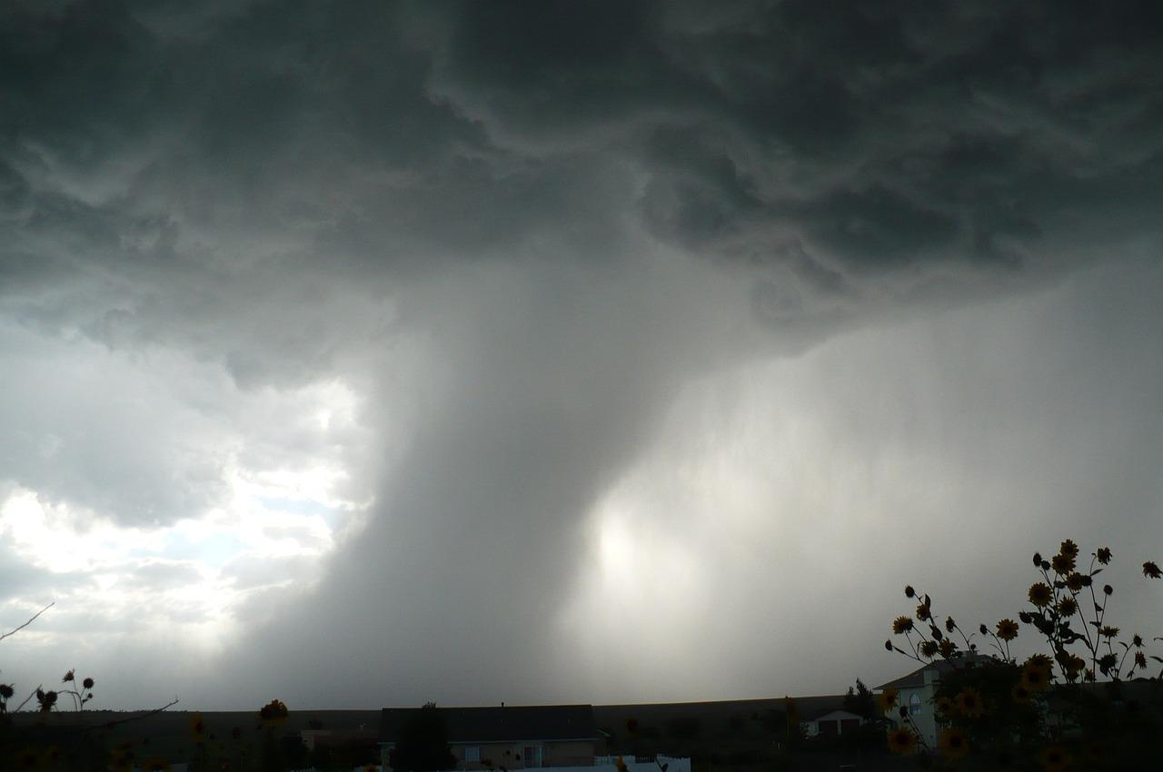 Tromba d’aria a Rovigo oggi 25 giugno 2024: danneggiati tetti e auto nella Bassa Padana | FOTO e VIDEO