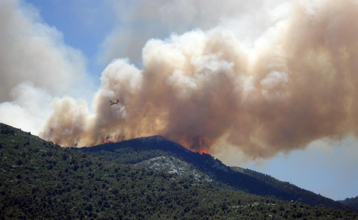 Incendio Carso oggi. Le aziende limitrofe restano chiuse