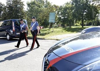 Reggio Emilia, non si ferma e sperona auto carabinieri: denunciato 29enne indiano