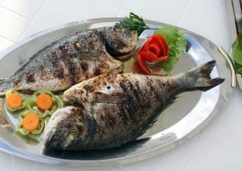 Pesce pagro: ricette e idee per utilizzarlo in cucina