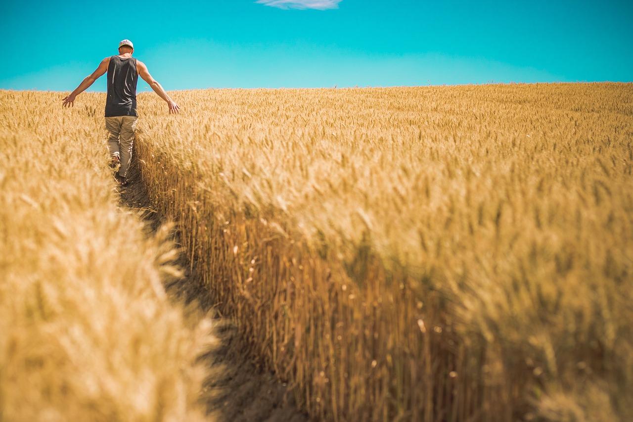 La Giornata mondiale della sicurezza alimentare 2023. La sfida globale