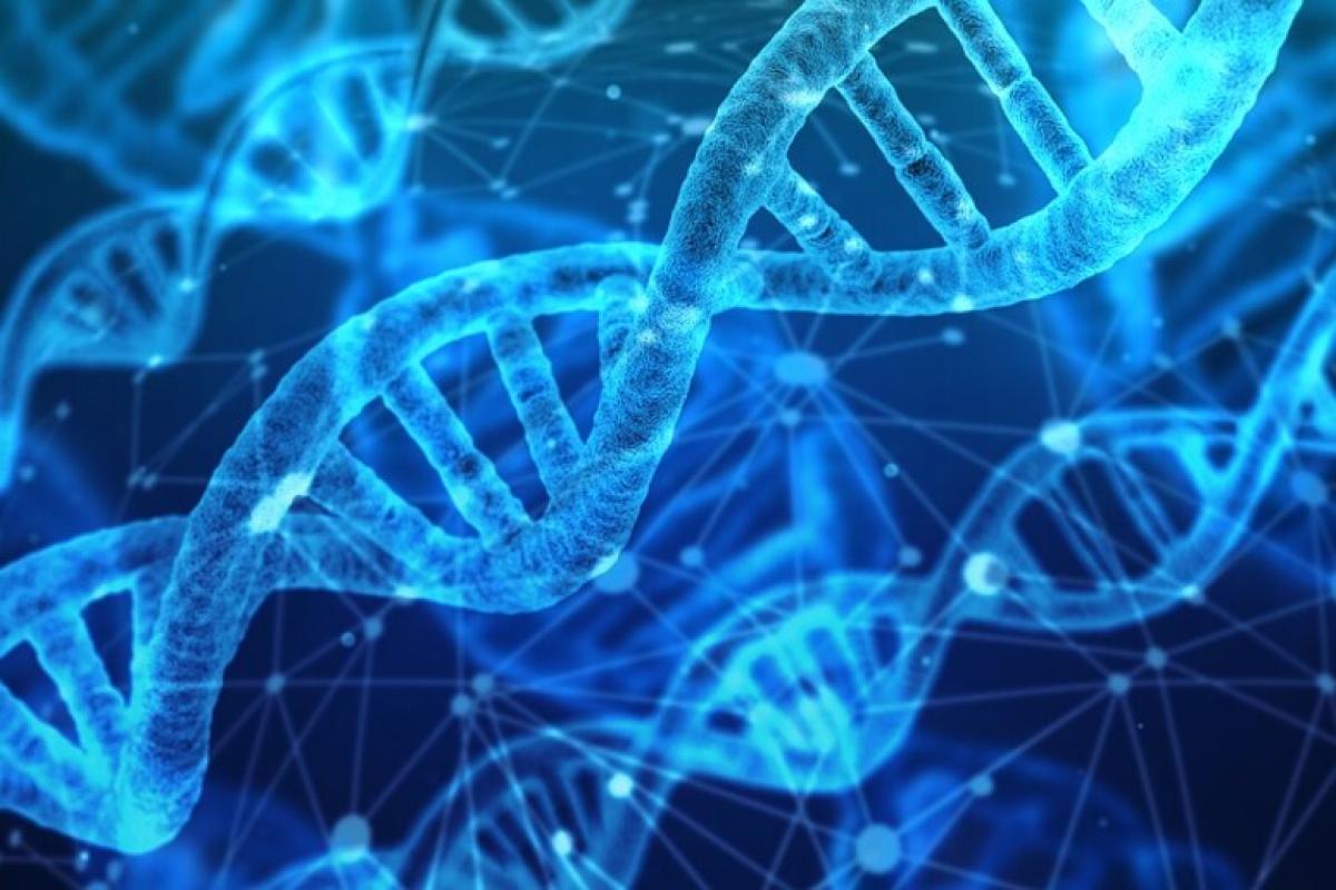 OGM – Organismi geneticamente modificati, cosa sono e come possono essere utilizzati