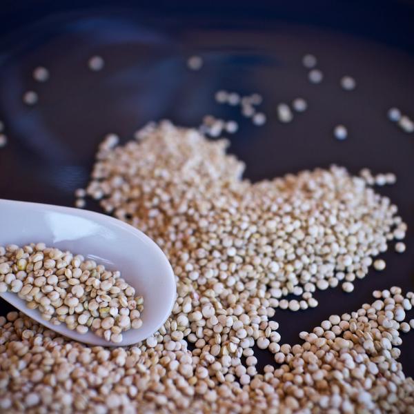 Quinoa: cos’è, perchè mangiarla, come si coltiva e si cucina