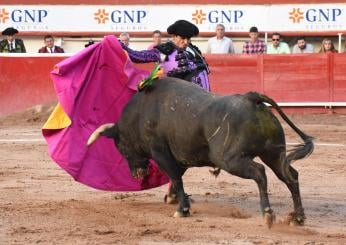 Colombia, il Parlamento vieta la corrida dal 2027: esultano gli ambientalisti