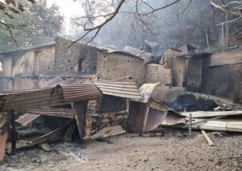 Sud Italia nella morsa dei roghi, fiamme anche in Puglia e Calabria | FOTO e VIDEO