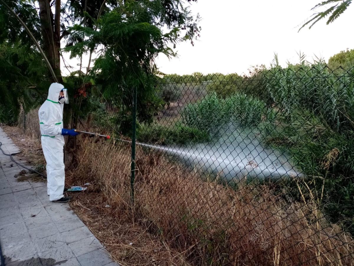 West Nile sintomi: cosa sappiamo