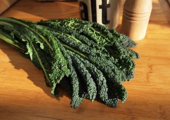 Il cavolo nero: come cucinare il superfood dei mesi freddi