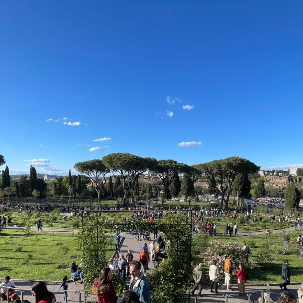 Torna il roseto comunale di Roma: apertura, orari, prezzi e dove si trova il giardino delle rose