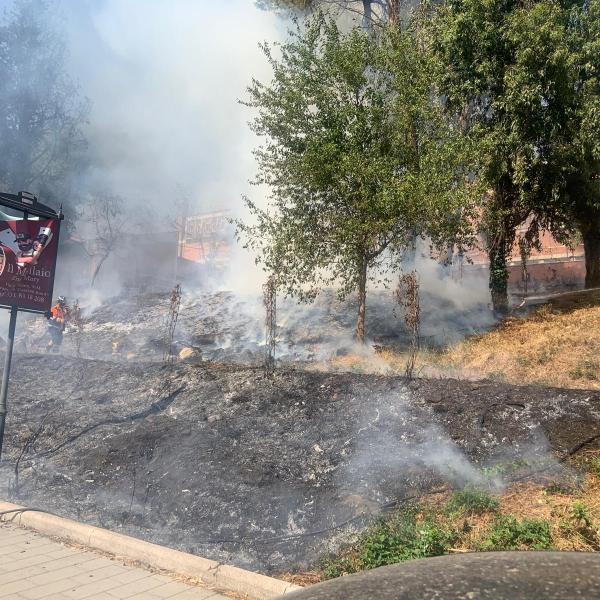 Caos di fuoco a Roma, scoppiato un incendio vicino a una scuola a Casalotti: fumo nero e bimbi evacuati da un campo estivo | VIDEO e FOTO