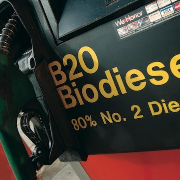 Biodiesel cos’è: come viene prodotto e quali vantaggi offre per la mobilità sostenibile?