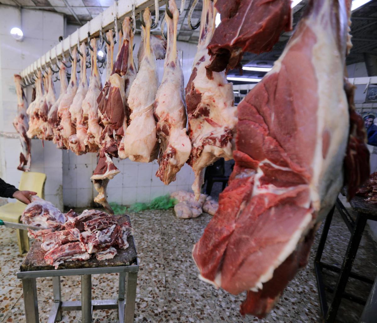 Firenze, carcasse di animale appese al balcone, la protesta degli a…