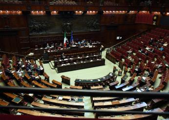 Dl Pa bis, Camera conferma la fiducia al Governo: 193 sì