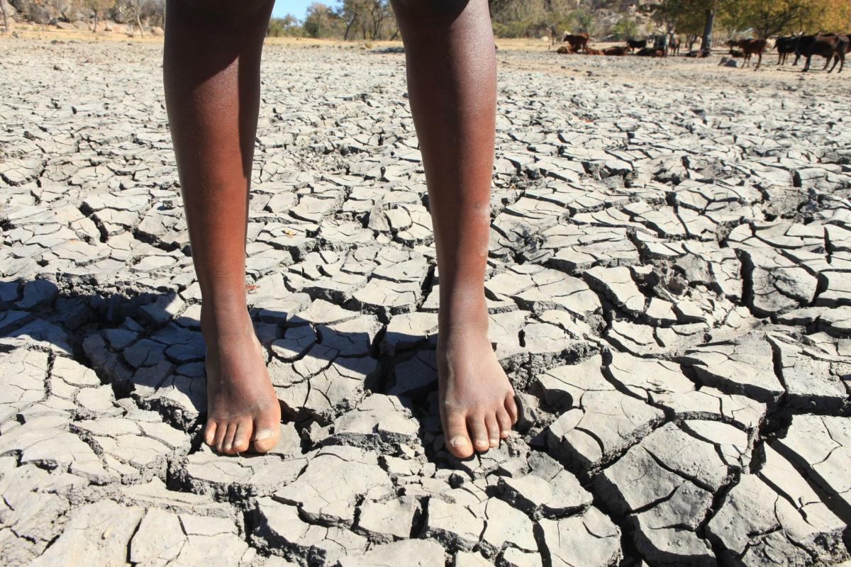 Zimbabwe, il presidente dichiara lo stato di calamità per la siccità causata da El Niño