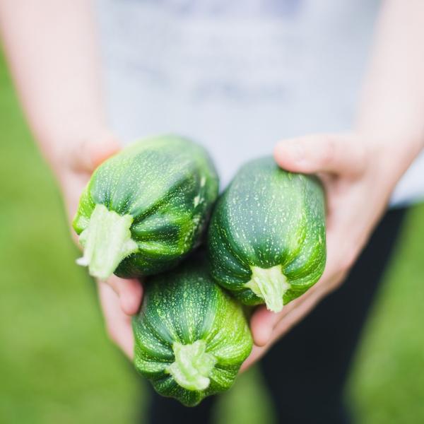 I 7 benefici delle zucchine: quante mangiarne alla settimana?