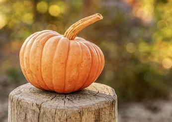 Capelli deboli che si spezzano: i rimedi fai da te con cannella e zucca