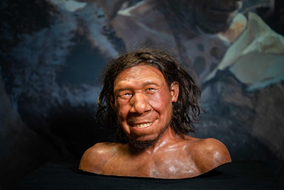 Oggi il cervello umano genera più neuroni rispetto ai Neanderthal: …