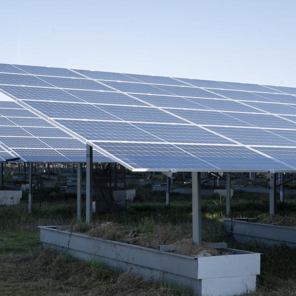 Bonus fotovoltaico Fvg 2023 ultime notizie: quasi 500 domande nel primo giorno di apertura del bando