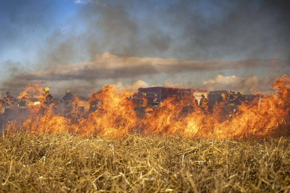 Incendio Gravina in Puglia, Rosy Varvara è morta dopo essere rimasta intrappolata tra le fiamme in casa