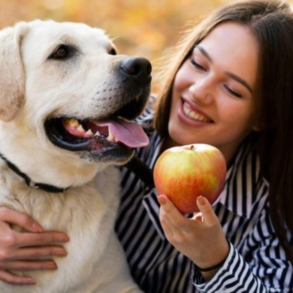 I cani possono mangiare la frutta? E quali tipologie, invece, sono da evitare